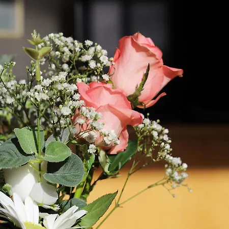 Allod Park Haus C 601 By Interhome Davos